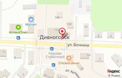 Зоомагазин Губернские аптеки на улице Бочкина на карте