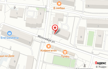 моя Аптека в Светлогорске на карте