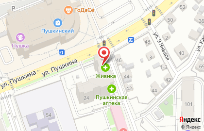 Служба заказа товаров аптечного ассортимента Аптека.ру на улице Пушкина, 24 на карте