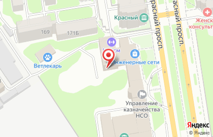 Центр спортивной борьбы Сшор в Заельцовском районе на карте