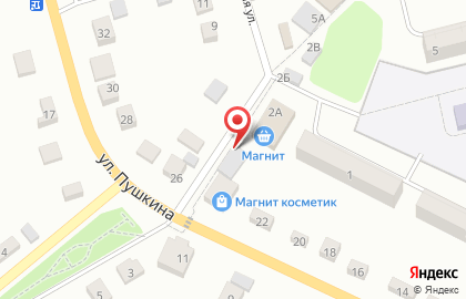 Магазин молочной продукции Нил на улице Пушкина на карте
