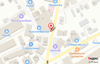 Центр защиты на улице Ленина на карте