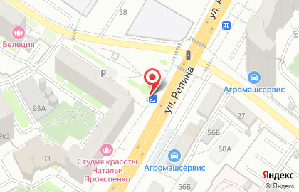 Магазин цветов на улице Репина 93/1 на карте