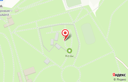 Зоопарк в Брянске на карте