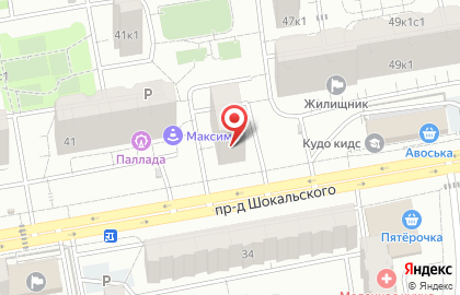 Детский футбольный клуб Метеор в проезде Шокальского, 45 к 1 на карте