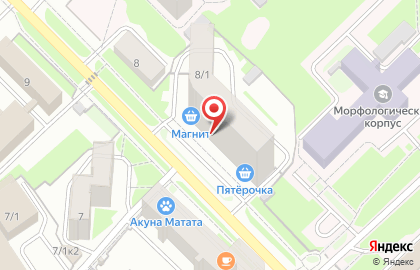 Магазин Новэкс на улице Залесского на карте