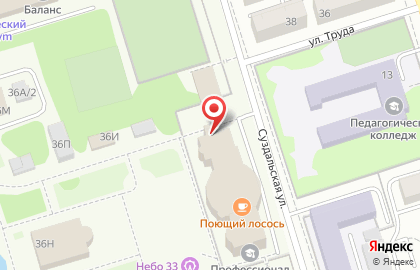 Туристическое агентство VIP-тур на Суздальской улице на карте