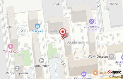 Компания Специальная металлургия на карте