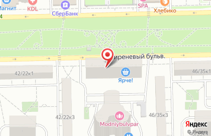 Магазин-бар Хмель & Солод на Сиреневом бульваре на карте