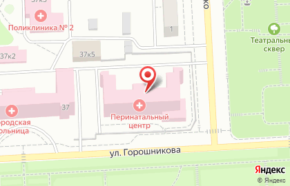 Перинатальный центр Демидовская городская больница на карте