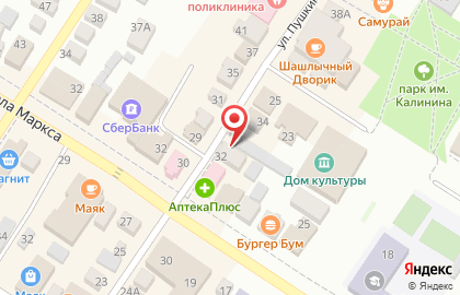 Туристическое агентство Anex Tour на улице Пушкина на карте