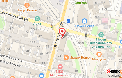 Офис продаж и обслуживания Билайн на Алеутской улице на карте