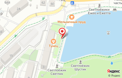 Магазин Рыбка моя в Светлогорске на карте