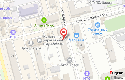 Магазин мяса птицы и колбас на улице Гагарина на карте