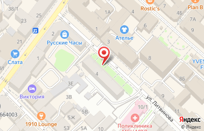 Атлет на улице Литвинова на карте