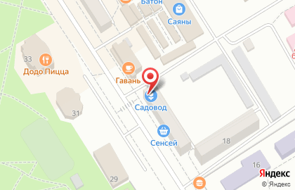 Магазин семян Садовод на улице Дзержинского на карте