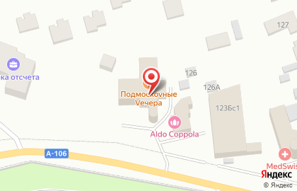 Подмоскоvные Vечера на карте