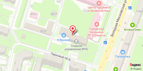 Ветеринарная клиника 9 жизней на Большой Московской улице на карте