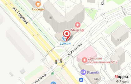 Ветеринарная аптека Дикси на улице Гудкова в Жуковском на карте