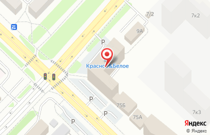 Русская компания на карте