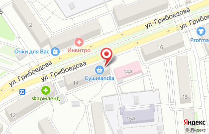 Салон оптики Опти Мастер на улице Грибоедова на карте