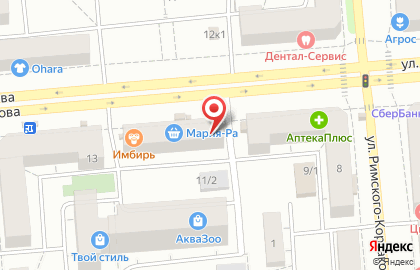Зоомагазин Четыре лапы на площади Карла Маркса на карте