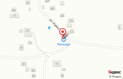 Магазин Авокадо в Пензе на карте