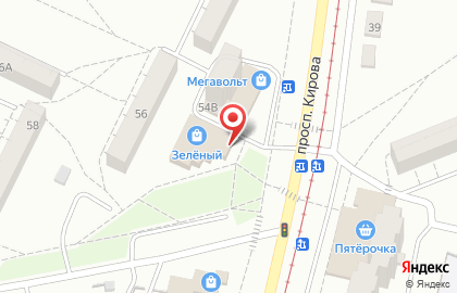 Зоомагазин Матильда на проспекте Кирова на карте