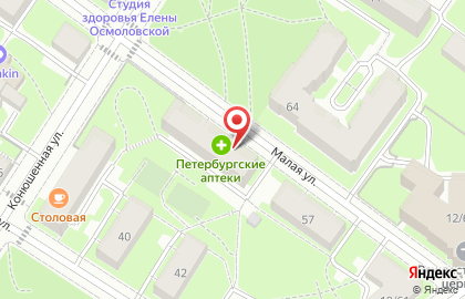 Петербургские аптеки в Санкт-Петербурге на карте