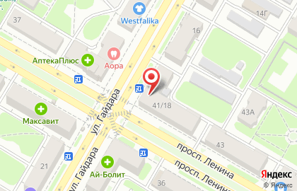 Дачник на проспекте Ленина на карте
