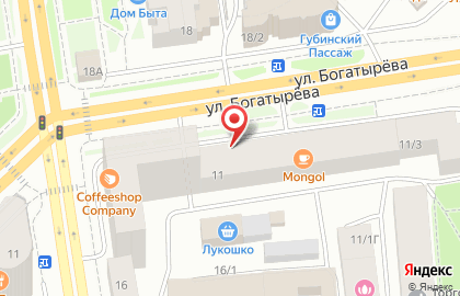 Киоск по ремонту обуви на улице Богатырева на карте