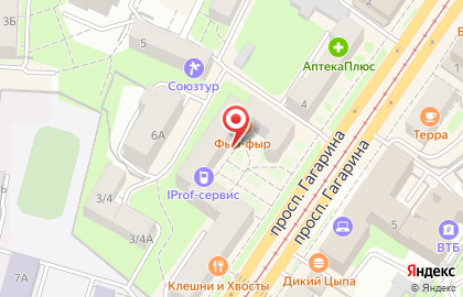 Ветеринарная клиника Фауна на проспекте Гагарина на карте