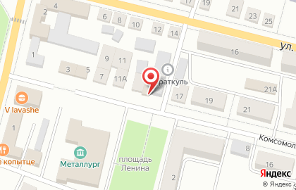 Зоомагазин Домашние любимцы на карте