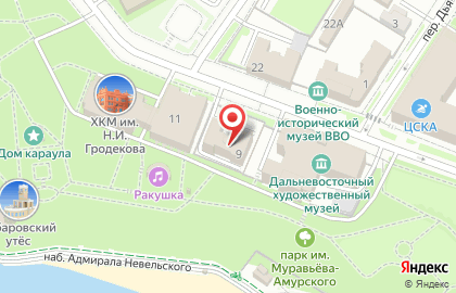 Региональная общественная организация Приамурское географическое общество на карте