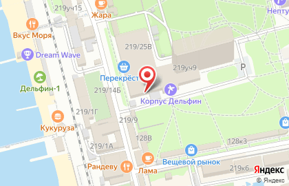 Отель Золотой дельфин на карте