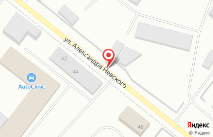 Пума на улице Александра Невского на карте