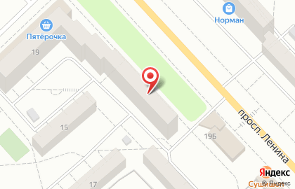 Ветеринарная клиника и зоомагазин Жизель на проспекте Ленина на карте