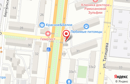 Фирменный магазин Великолукский мясокомбинат на улице Савушкина на карте