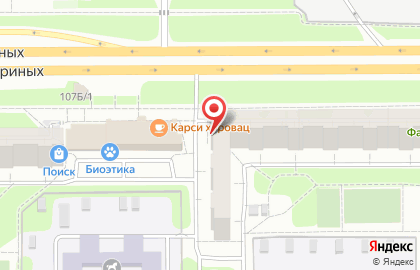 Фирменный магазин Чебаркульская птица на улице Братьев Кашириных на карте