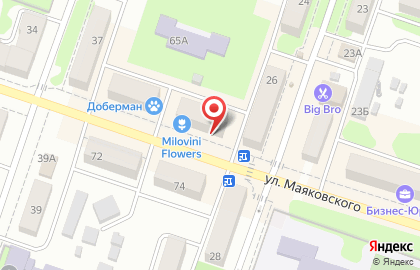 Служба доставки воздушных шаров ШАРИК63.ру на улице Маяковского на карте