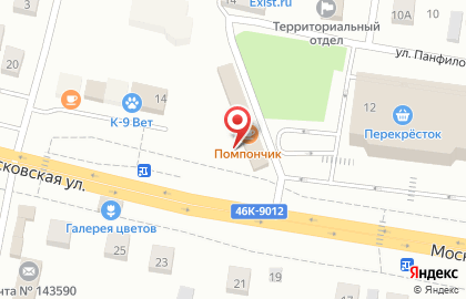 Снегири на Московской улице на карте