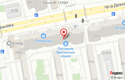 Магазин разливного пива Лит.Ra в проезде Дежнёва на карте