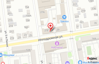 Рейна на Ипподромной улице на карте