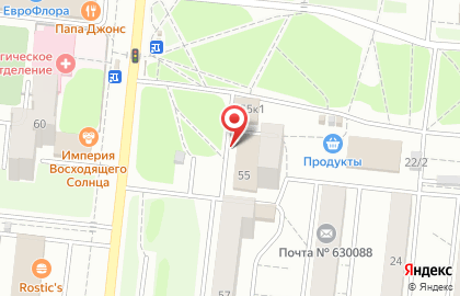 Аптека Сова на площади Сибиряков-Гвардейцев на карте