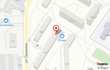 Птица на карте