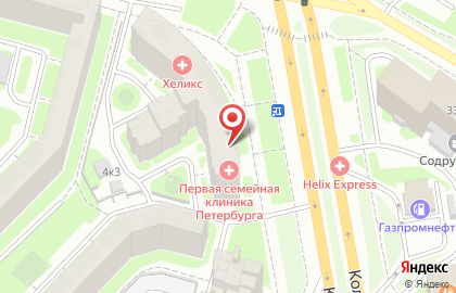 Многопрофильный центр Первая семейная клиника Петербурга на Коломяжском проспекте на карте