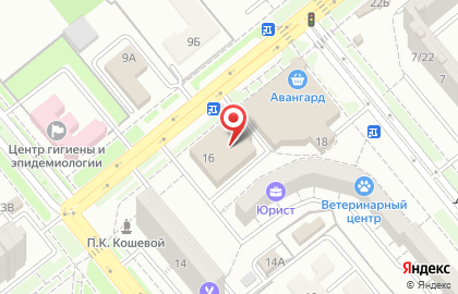 Компания по продаже натяжных потолков на улице Маршала Кошевого на карте
