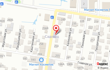 Детский магазин Кнопочка на Вольной улице на карте