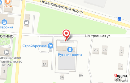Торговая компания Русские Цветы на карте