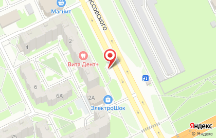Бизон на улице Рокоссовского на карте